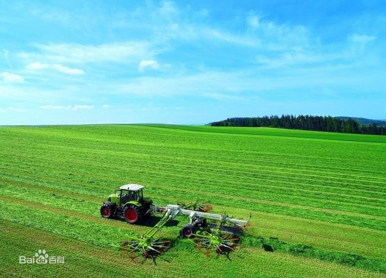 一條“互聯網+現代農業”的新路徑